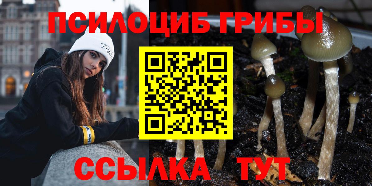Псилоцибиновые грибы Cubensis Чебоксары